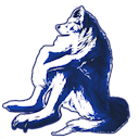 Loup solitaire