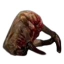 Infecté