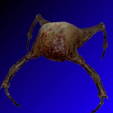 Crabe de tête rapide